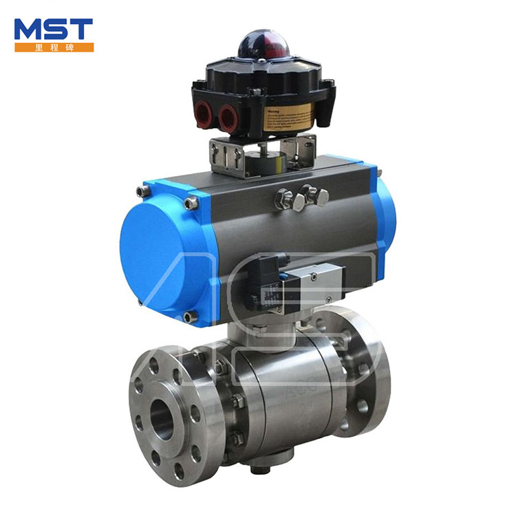 Hastelloy Alaşımlı Material Ball Valve